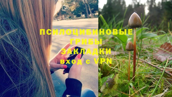 стафф Краснослободск