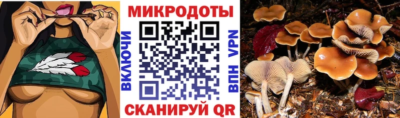 Псилоцибиновые грибы MAGIC MUSHROOMS  что такое наркотик  Ликино-Дулёво 