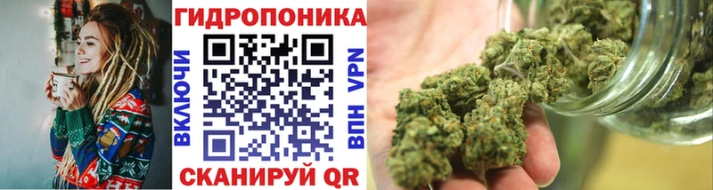 Каннабис сатива  хочу   Ликино-Дулёво 